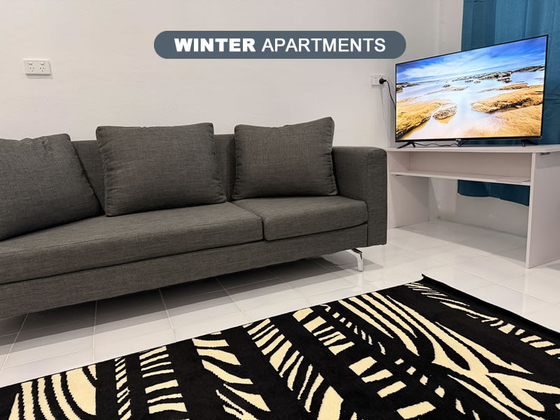 2 Bedroom fully furnished apartment photo 4